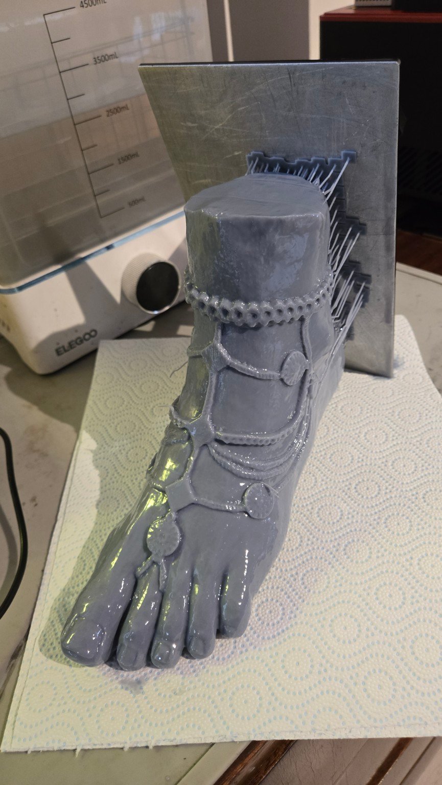 Épreuve de la sculpture de pied imprimée en résine sur ses supports